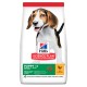 Hills Science Plan Canine Puppy Medium Breed Chicken Сухий корм для цуценят середніх порід із куркою