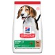 Hills Science Plan Canine Puppy Medium Breed Lamb Сухий корм для цуценят середніх порід з ягням