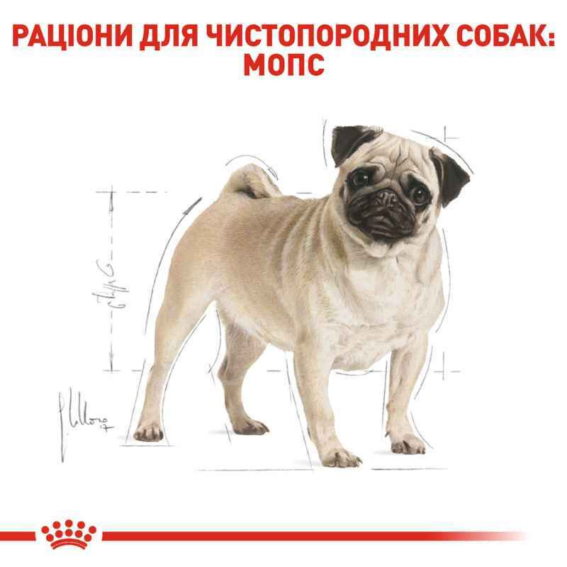 Royal Canin Pug Adult Сухий корм для собак