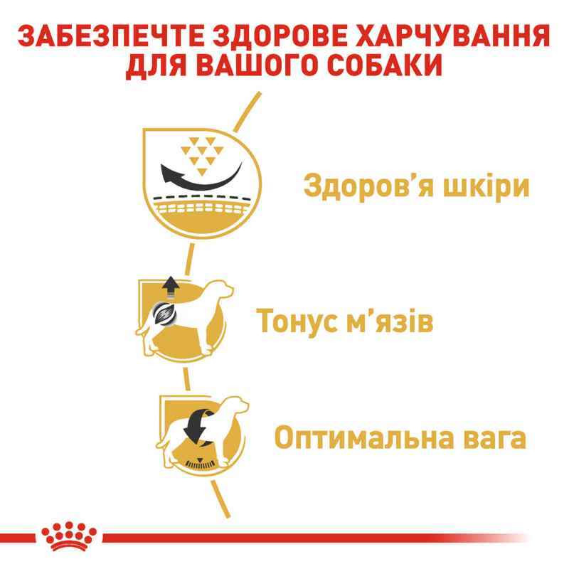 Royal Canin Pug Adult Сухий корм для собак