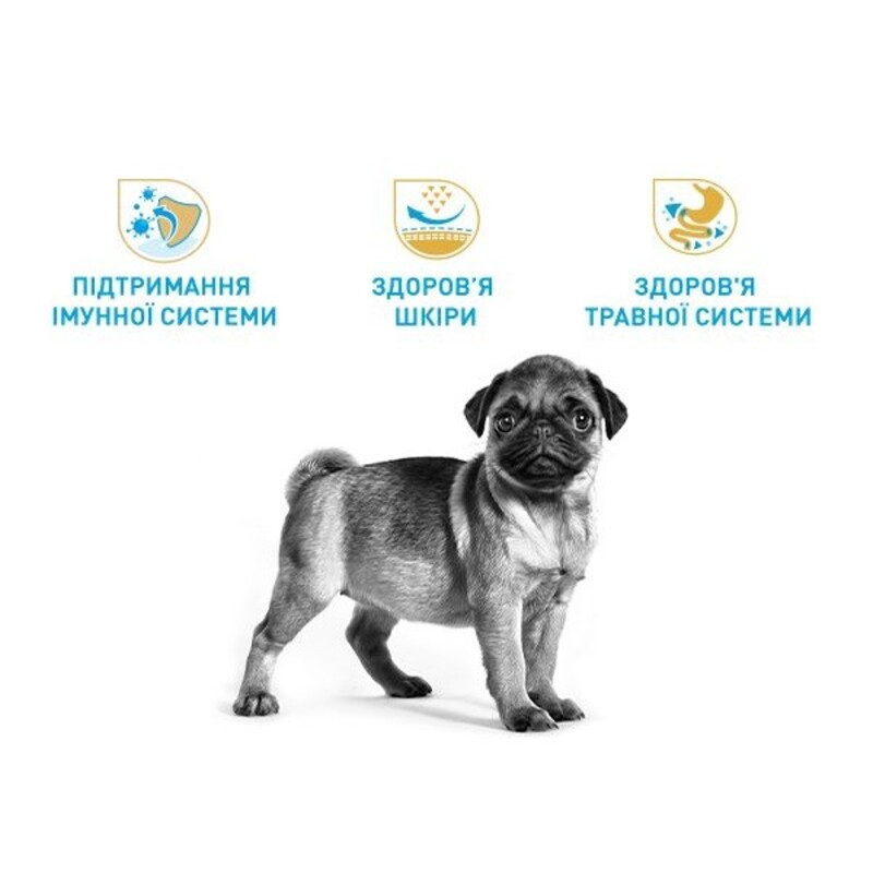 Royal Canin Pug Puppy Сухий корм для цуценят