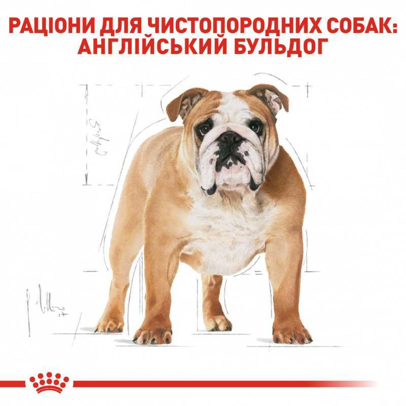 Royal Canin Bulldog Adult Сухий корм для собак