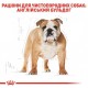 Royal Canin Bulldog Adult Сухий корм для собак
