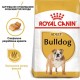 Royal Canin Bulldog Adult Сухий корм для собак