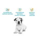 Royal Canin Bulldog Puppy Сухий корм для цуценят