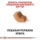 Royal Canin Shih Tzu Adult Сухий корм для собак