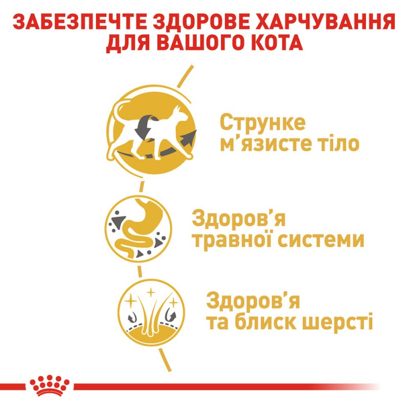 Royal Canin Siamese Adult Сухий корм для дорослих кішок