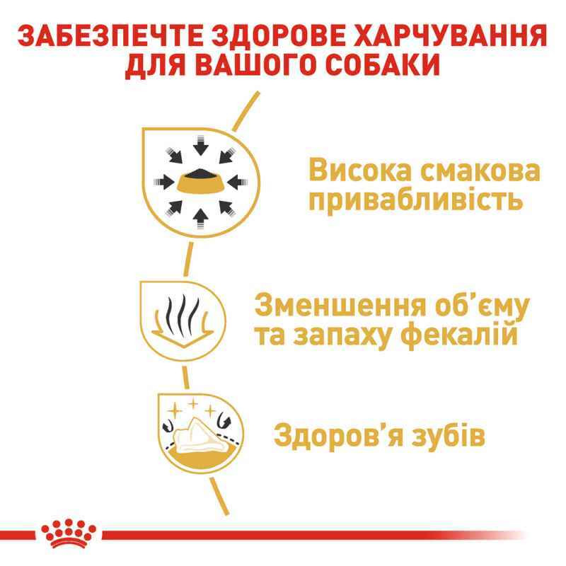 Royal Canin Chihuahua Adult Сухий корм для собак