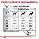 Royal Canin Skin Care Adult Dog Canine Лікувальний корм для собак