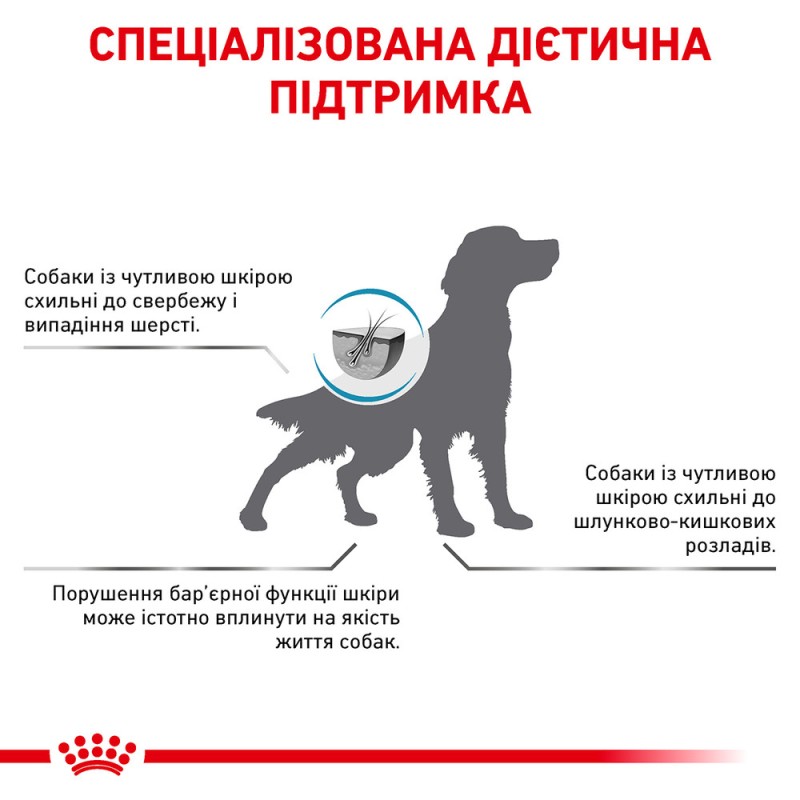 Royal Canin Skin Support Dog Canine Лікувальний корм для собак