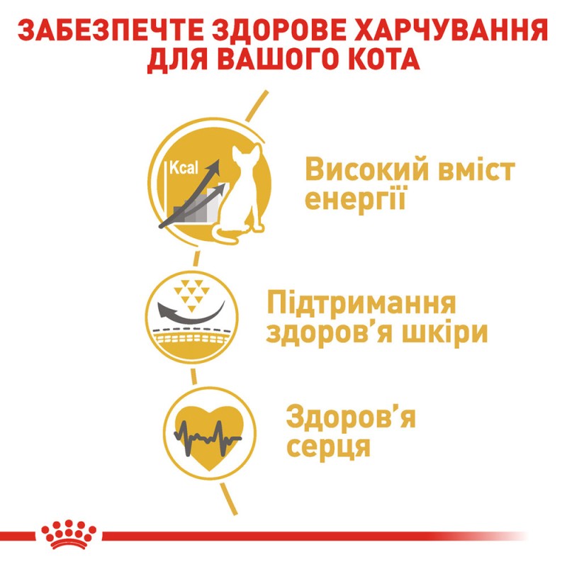 Royal Canin Sphynx Adult Сухий корм для дорослих кішок