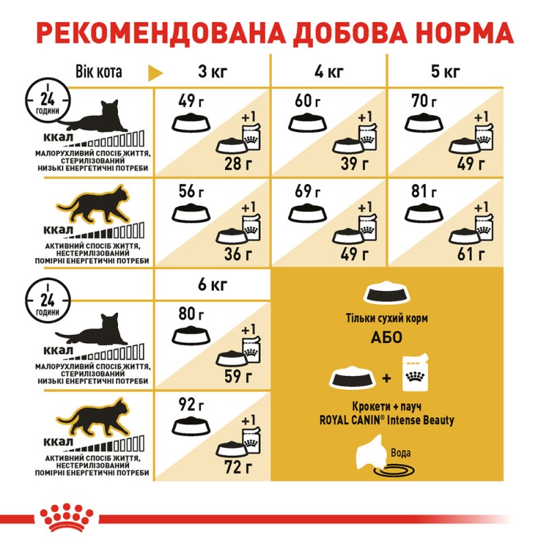 Royal Canin Sphynx Adult Сухий корм для дорослих кішок