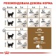 Royal Canin Sterilised 12+ Сухий корм для стерилізованих кішок