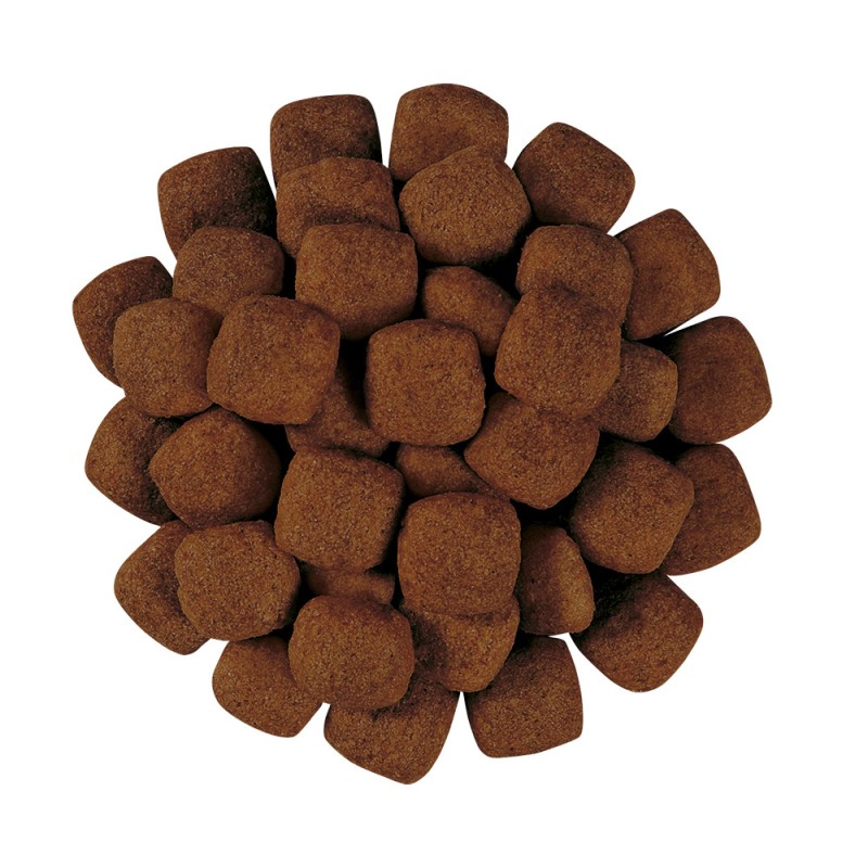 Royal Canin Urinary S/O Ageing 7+ Dog Canine Лікувальний корм для собак