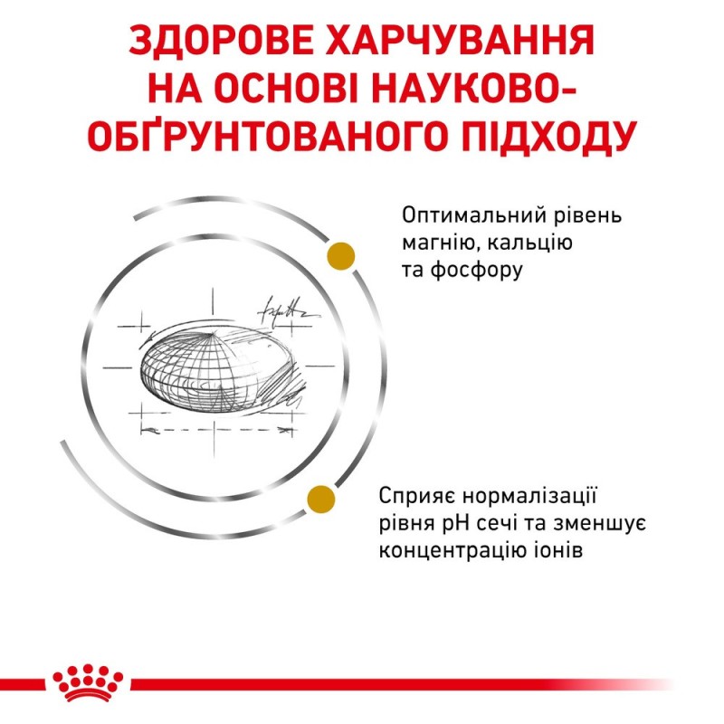 Royal Canin Urinary S/O Feline Лікувальний корм для дорослих кішок