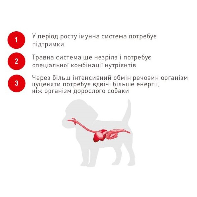 Royal Canin Chihuahua Puppy Сухий корм для цуценят