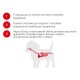 Royal Canin Chihuahua Puppy Сухий корм для цуценят