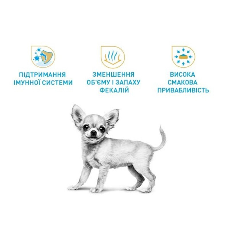 Royal Canin Chihuahua Puppy Сухий корм для цуценят