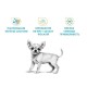 Royal Canin Chihuahua Puppy Сухий корм для цуценят