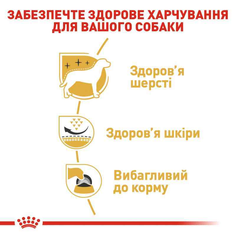 Royal Canin Westie Adult Сухий корм для собак