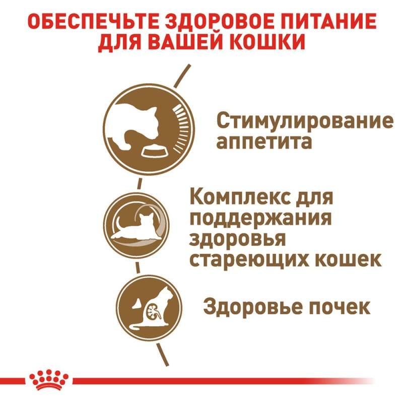 Royal Canin Ageing +12 Сухий корм для дорослих кішок