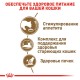 Royal Canin Ageing +12 Сухий корм для дорослих кішок