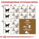 Royal Canin Ageing +12 Сухий корм для дорослих кішок