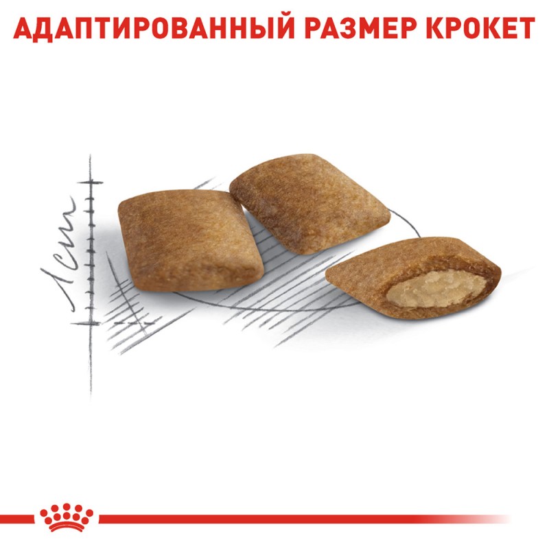 Royal Canin Ageing +12 Сухий корм для дорослих кішок