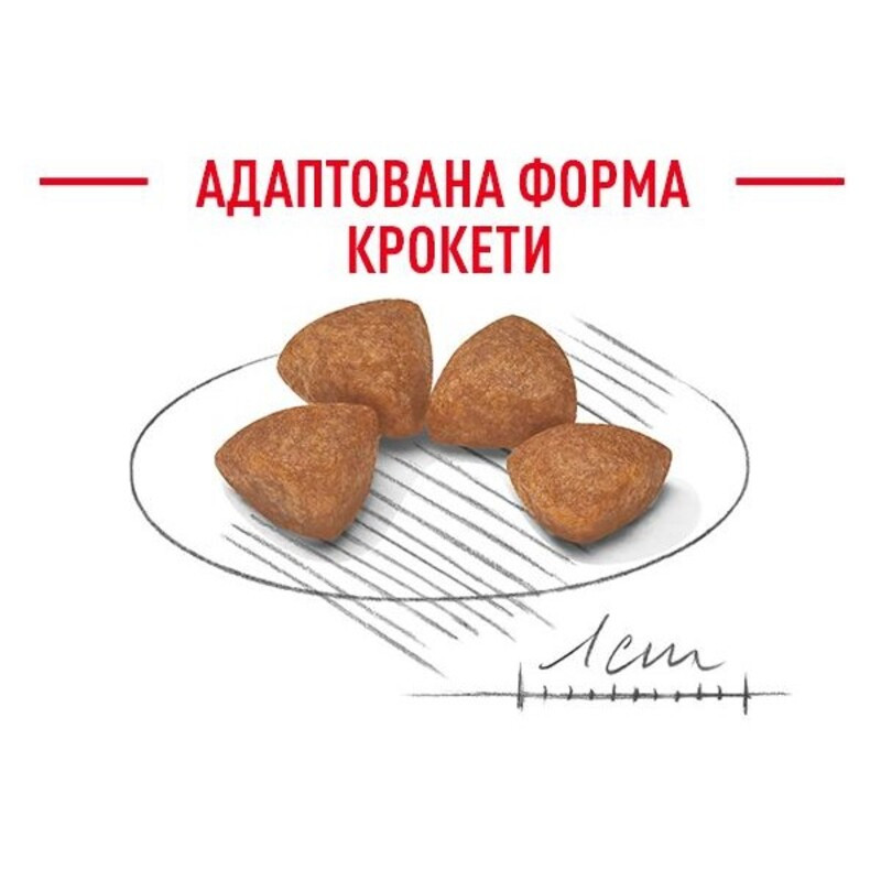 Royal Canin Xsmall Puppy Сухий корм для цуценят