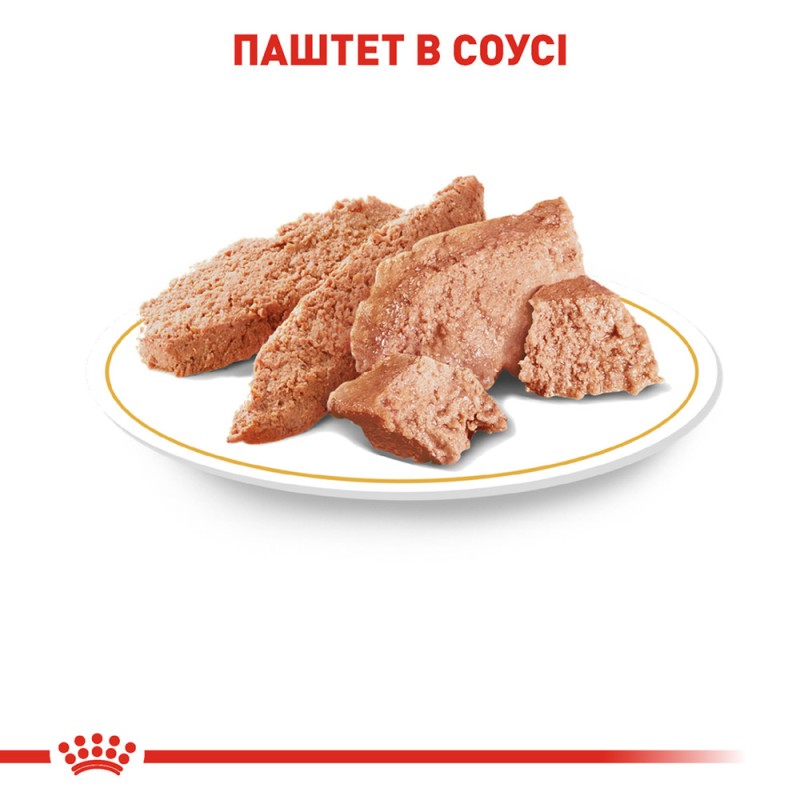 Royal Canin Yorkshire Adult Консерви для собак