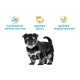 Royal Canin Yorkshire Puppy Сухий корм для цуценят