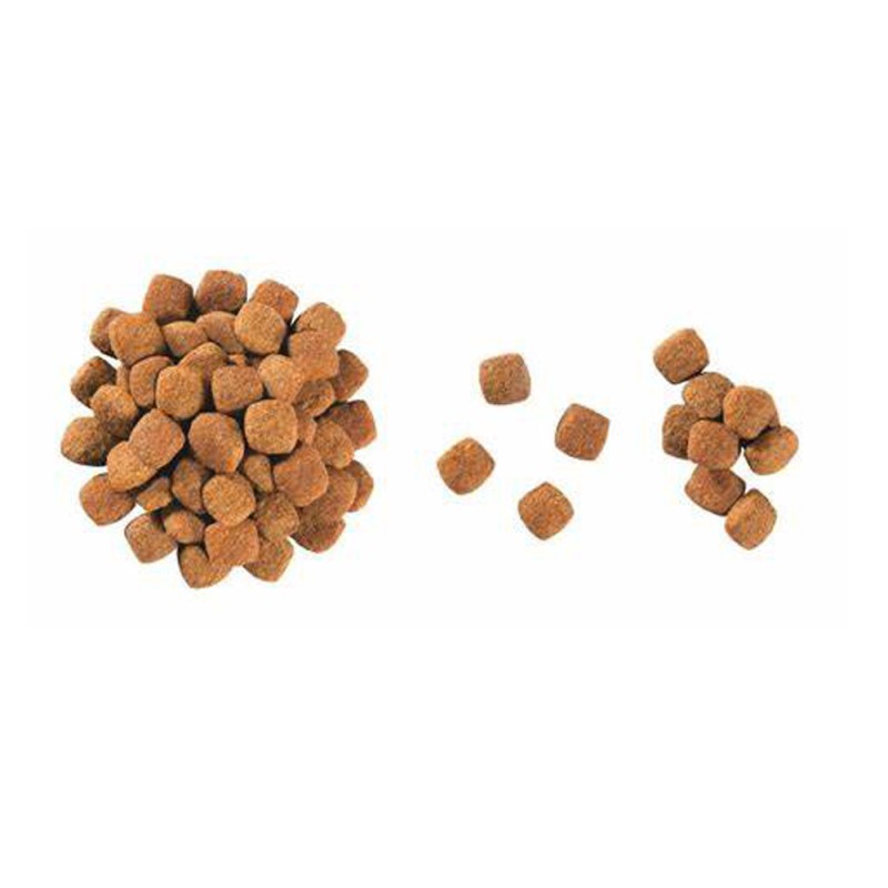 Royal Canin Young Female S/O Сухий корм для стерилізованих кішок