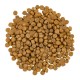 Savory Cat Adult Gourmand Hair and Skin Fresh Salmon with White Fish Сухий корм для дорослих довгошерстих кішок зі свіжим лососем та білою рибою