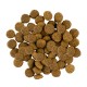Savory Junior Large Breed Fresh Turkey with Chicken Сухий корм для цуценят великих порід зі свіжим м'ясом індички та куркою