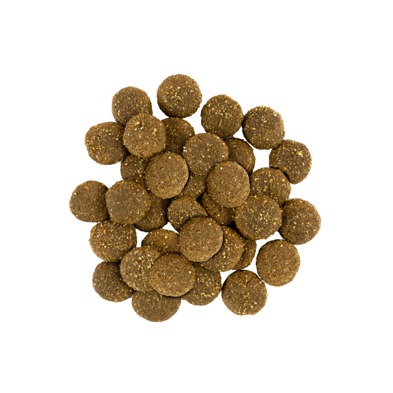 Savory Dog Adult Large Breed Fresh Turkey with Lamb Сухий корм для дорослих собак великих порід зі свіжим м'ясом індички та ягням