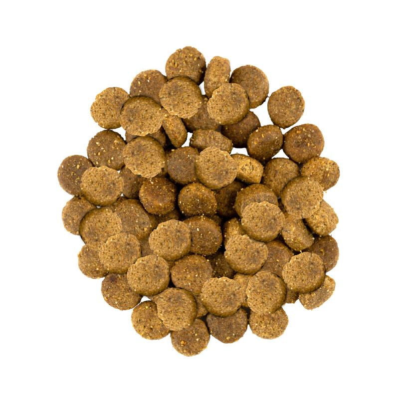 Savory Dog Adult Medium Breed Fresh Turkey with Lamb Сухий корм для дорослих собак середніх порід зі свіжим м'ясом індички та ягням