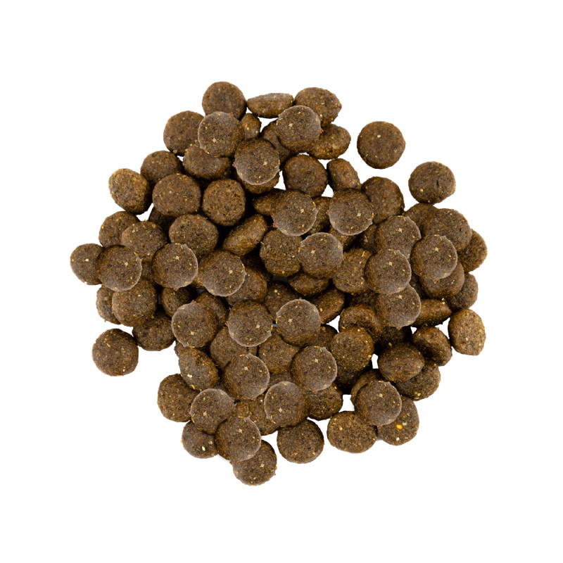 Savory Dog Adult Small Breed Fresh Turkey with Lamb Сухий корм для дорослих собак дрібних порід зі свіжою індичкою та ягням