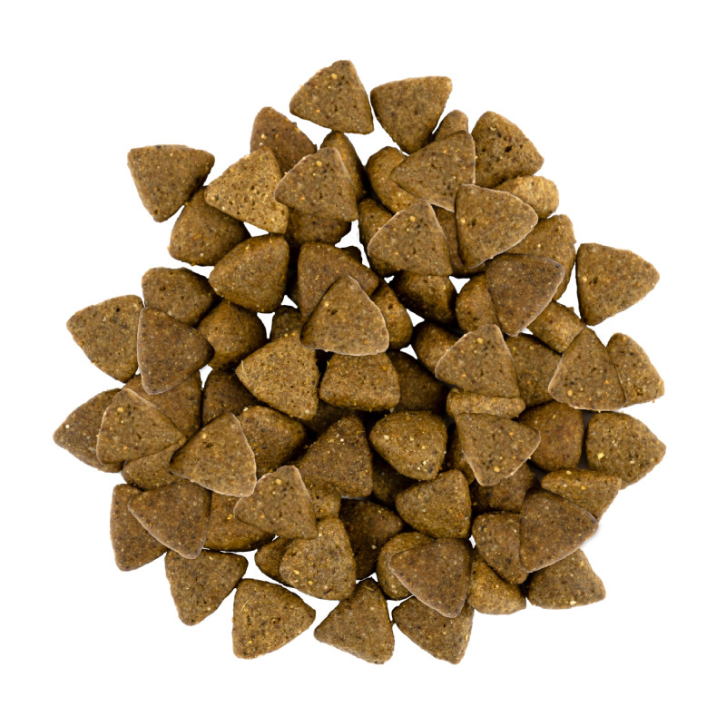Savory Dog Adult Small Breed Fresh Lamb Сухий корм для дорослих собак дрібних порід зі свіжим ягнятком