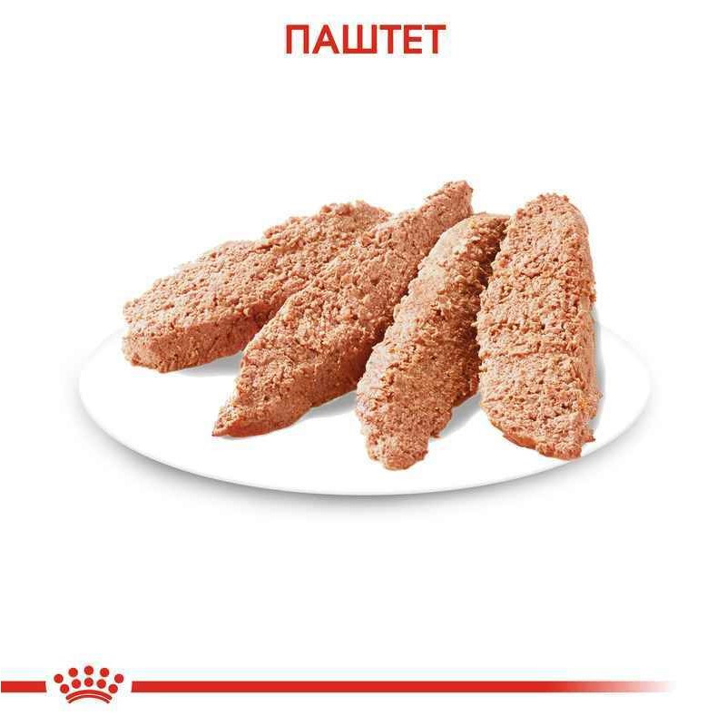 Royal Canin Coat Beauty Loaf Консерви для собак