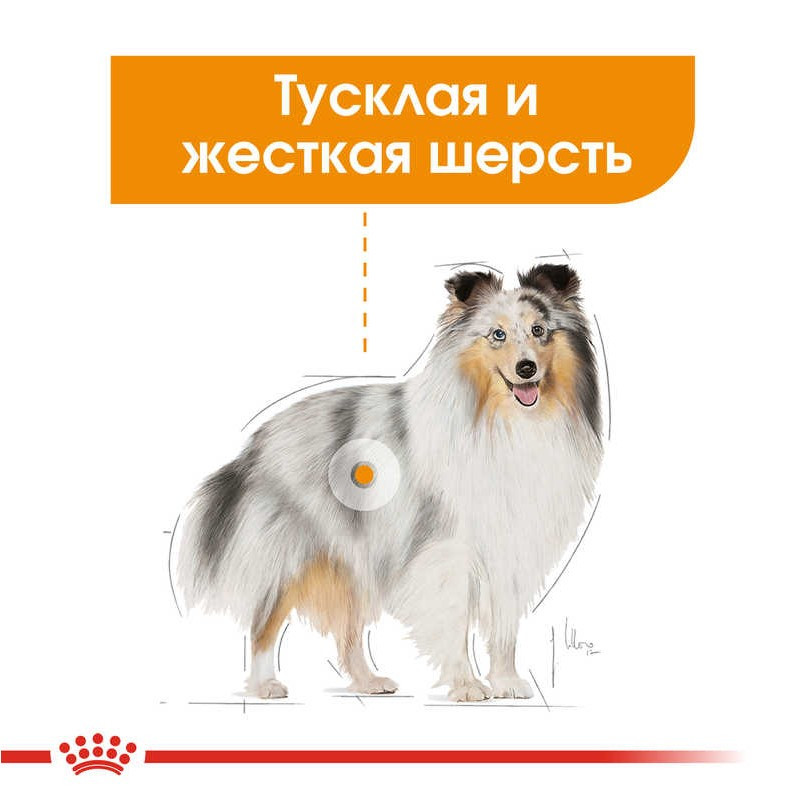 Royal Canin Coat Beauty Loaf Консерви для собак