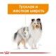 Royal Canin Coat Beauty Loaf Консерви для собак