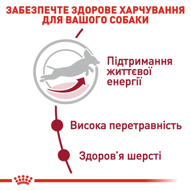 Royal Canin Medium Adult 7+ Сухой корм для собак