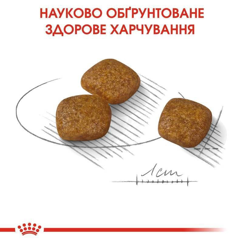 Royal Canin Mini Urinary Care Сухий корм для собак