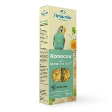 Природа Колосок для папуг Лугові трави