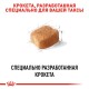 Royal Canin Dachshund Adult Сухий корм для собак