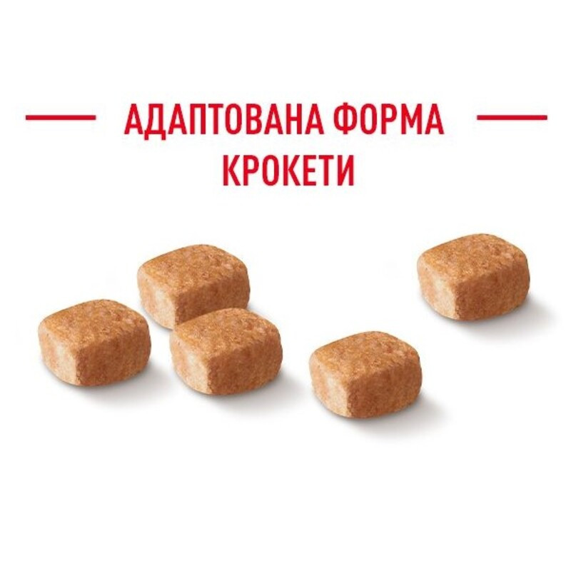 Royal Canin Dachshund Puppy Сухий корм для цуценят
