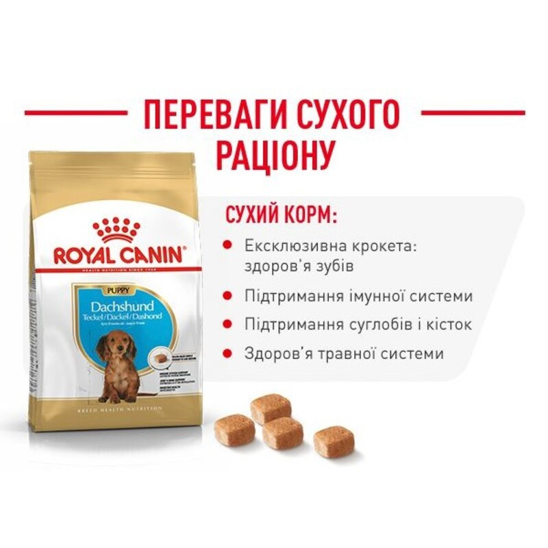 Royal Canin Dachshund Puppy Сухий корм для цуценят