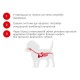Royal Canin Dachshund Puppy Сухий корм для цуценят
