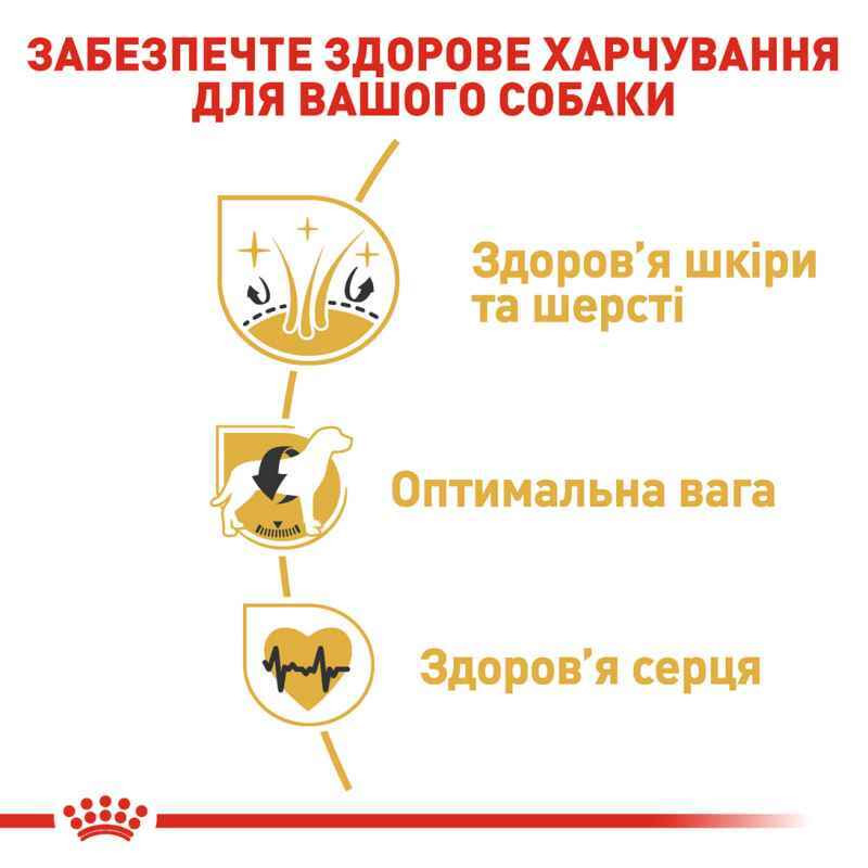 Royal Canin Cocker Adult Сухий корм для собак