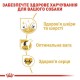 Royal Canin Cocker Adult Сухий корм для собак
